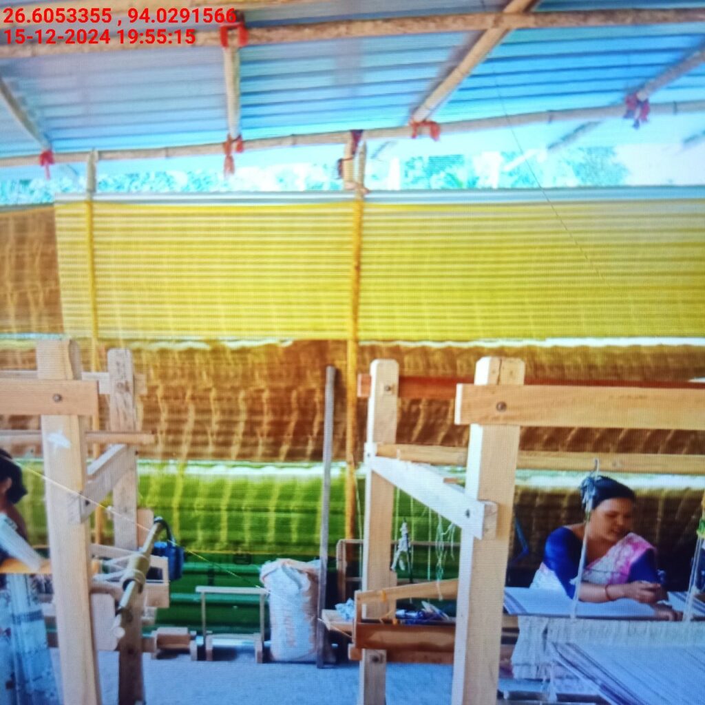 Jacquard Handloom Weaver training at IIE Incubation Centre, Baruabamungaon, batch 24153, 15-12-2024