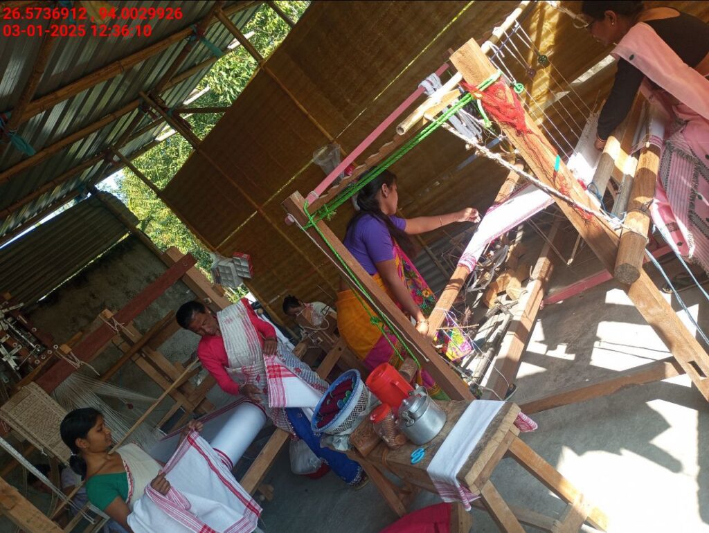 Jacquard Handloom Weaver training at IIE Incubation Centre, Baruabamungaon, batch 24155, 03-01-2025