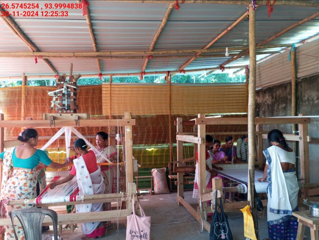 Jacquard Handloom Weaver training at IIE Incubation Centre, Baruabamungaon, batch 24155, 30-11-2024