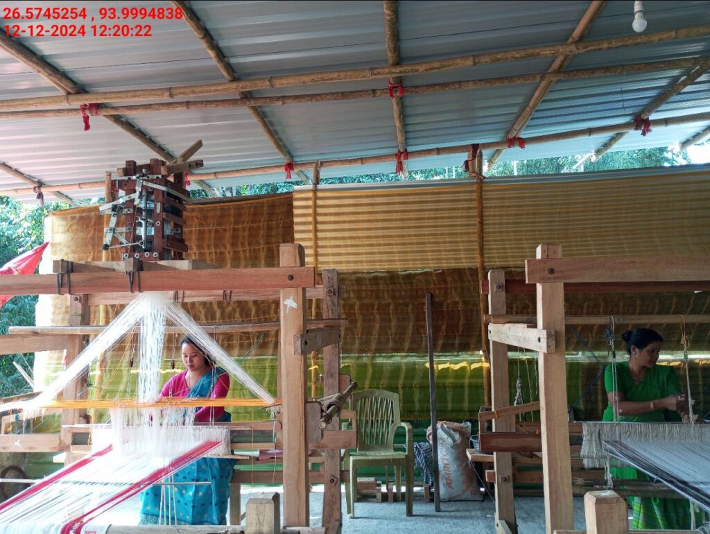 Jacquard Handloom Weaver training at IIE Incubation Centre, Baruabamungaon, batch 24155, 12-12-2024