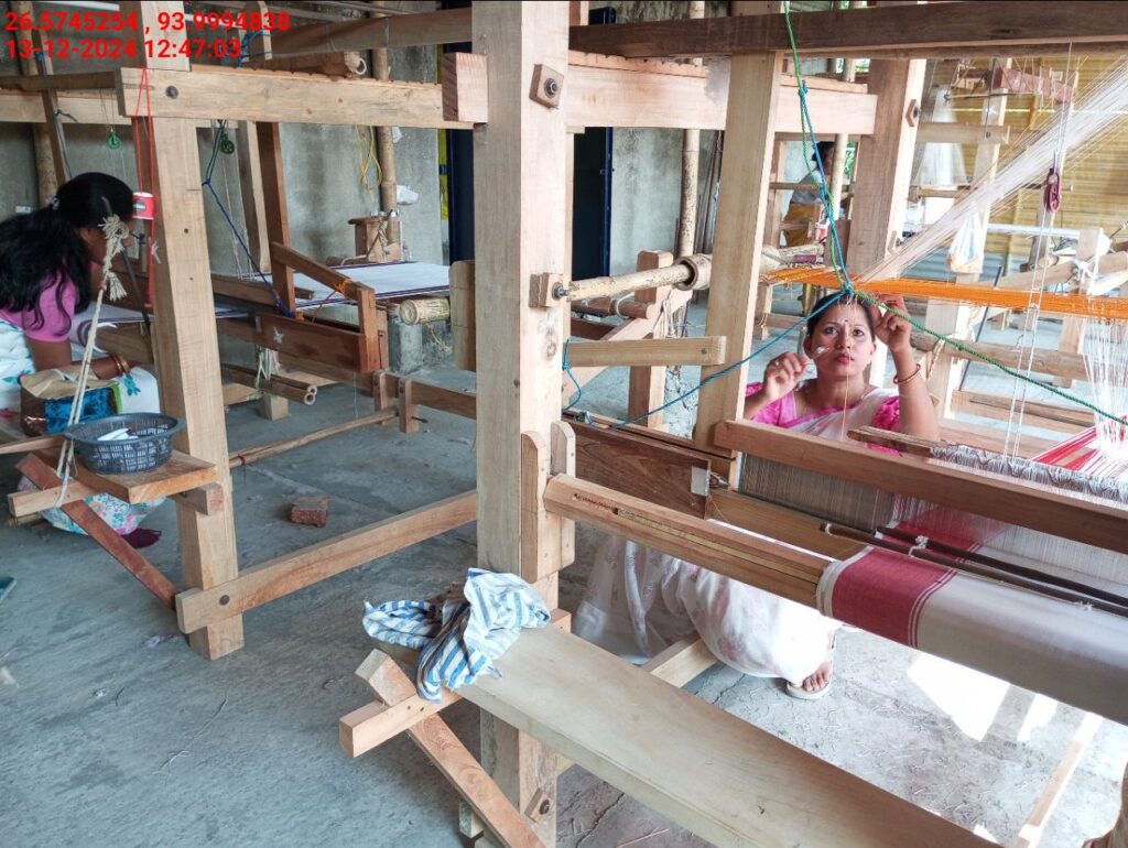 Jacquard Handloom Weaver training at IIE Incubation Centre, Baruabamungaon, batch 24155, 13-12-2024