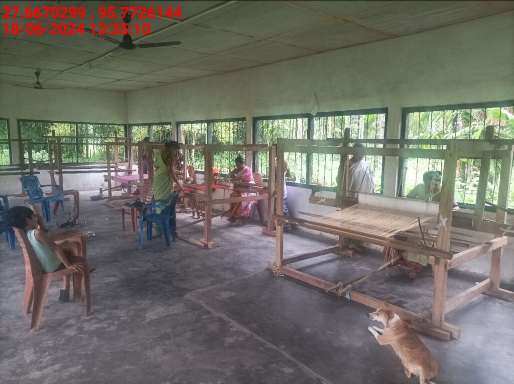 Handloom Weaver (Frame Loom) training at IIE Incubation Centre, Bordiraj, batch 20388, 18-06-2024
