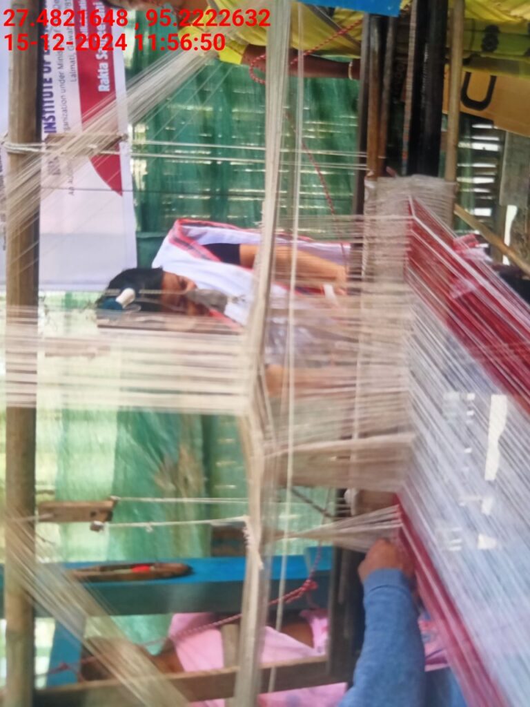 Handloom Weaver (Frame Loom) training at IIE Incubation Centre, Bordiraj, batch 24208, 15-12-2024