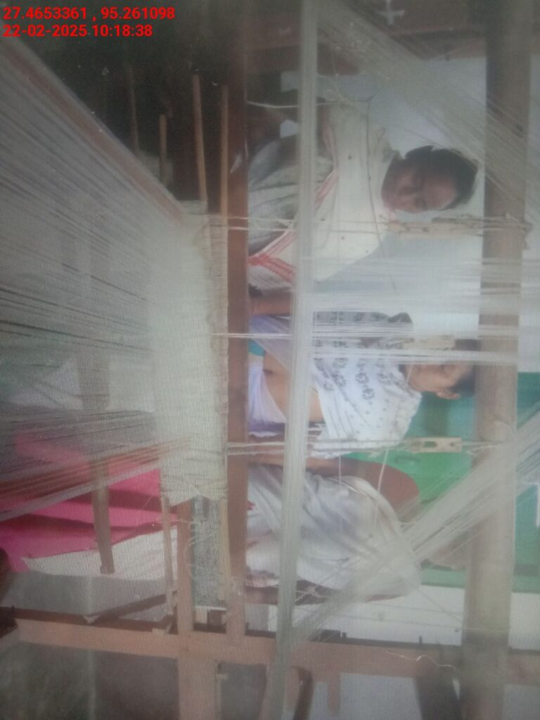 Handloom Weaver (Frame Loom) training at IIE Incubation Centre, Bordiraj, batch 26663, 22-02-2025