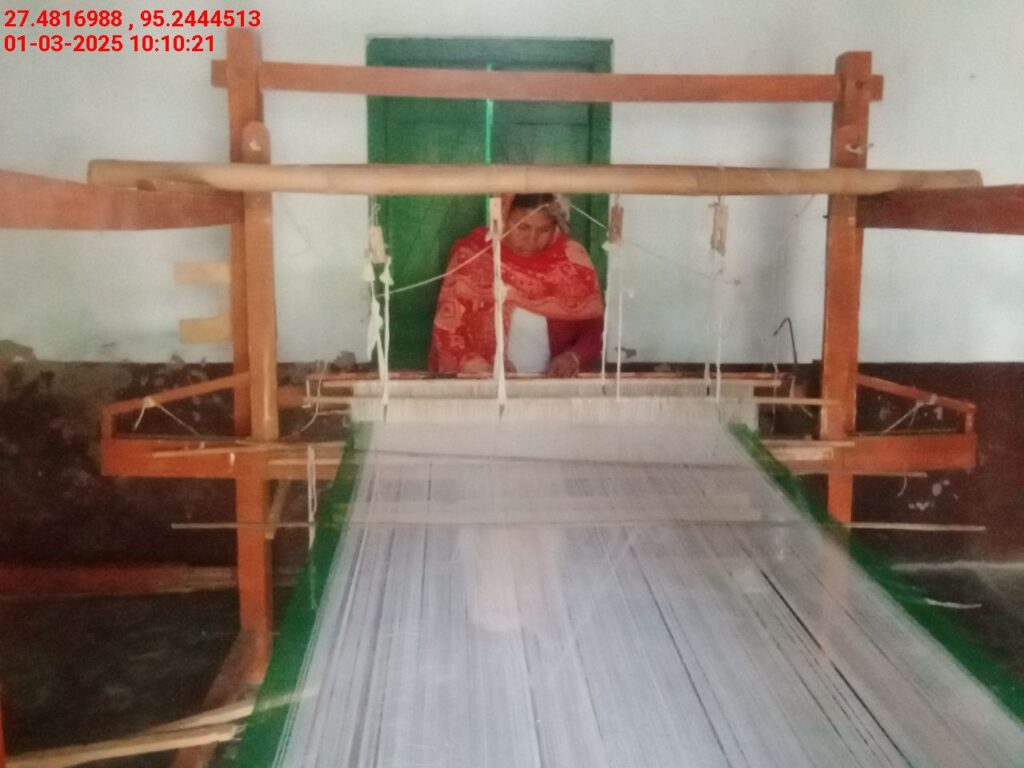 Handloom Weaver (Frame Loom) training at IIE Incubation Centre, Bordiraj, batch 26663, 01-03-2025