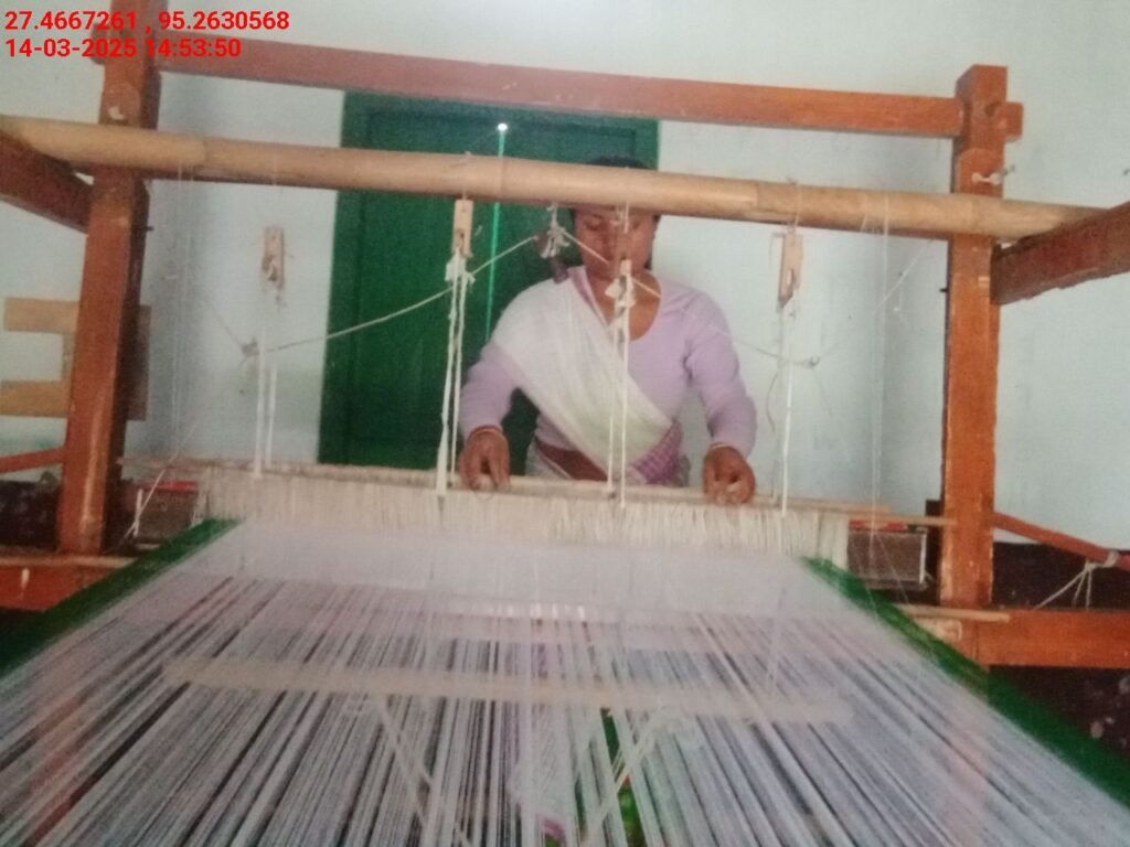 Handloom Weaver (Frame Loom) training at IIE Incubation Centre, Bordiraj, batch 26664, 14-03-2025