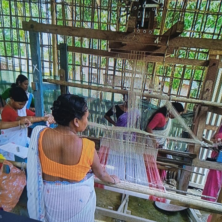 Handloom Weaver (Frame Loom) training at IIE Incubation Centre, Bordiraj, batch 28847, 24-05-2025