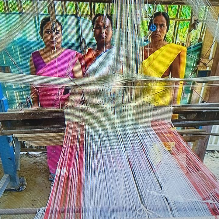 Handloom Weaver (Frame Loom) training at IIE Incubation Centre, Bordiraj, batch 28847, 27-05-2025