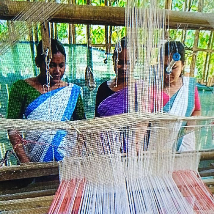 Handloom Weaver (Frame Loom) training at IIE Incubation Centre, Bordiraj, batch 28847, 30-05-2025