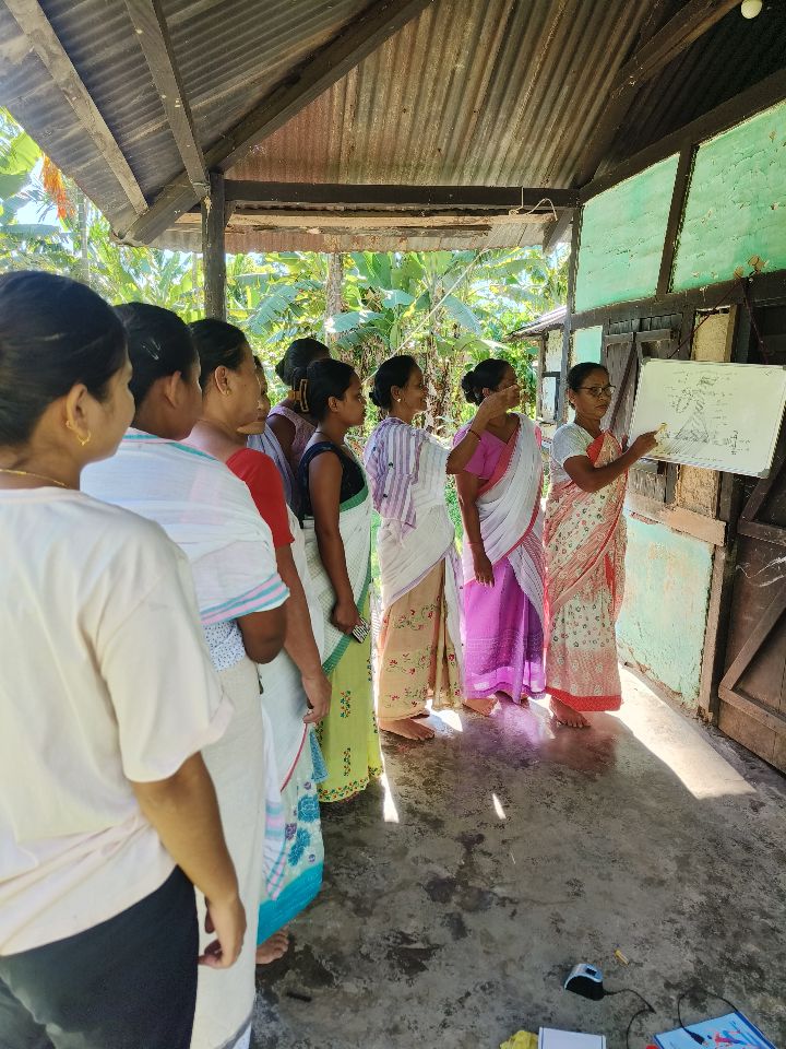 Handloom Weaver (Frame Loom) training at IIE Incubation Centre, Bordiraj, batch 33113, 28-07-2025