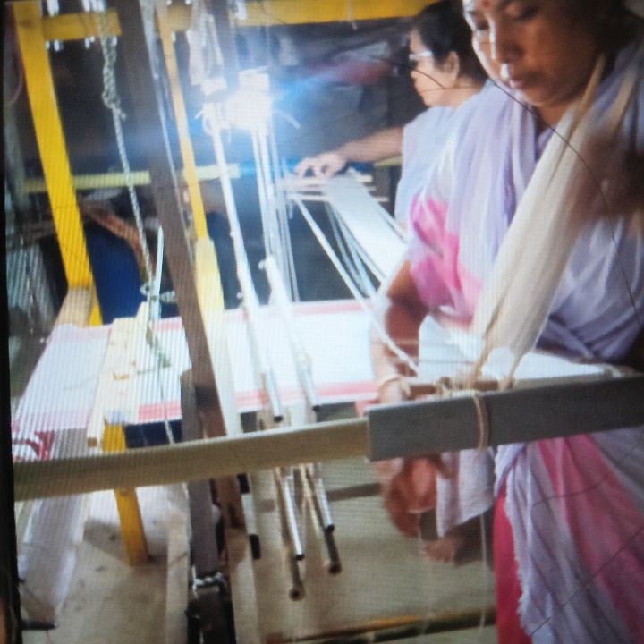 Handloom Weaver (Frame Loom) training at IIE Incubation Centre, Bordiraj, batch 36914, 12-11-2025