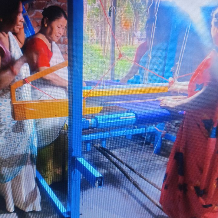 Handloom Weaver (Frame Loom) training at IIE Incubation Centre, Bordiraj, batch 36914, 01-12-2025
