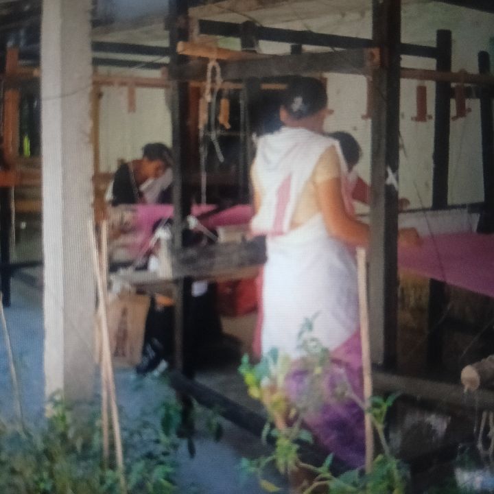 Handloom Weaver (Frame Loom) training at IIE Incubation Centre, Bordiraj, batch 36914, 02-12-2025
