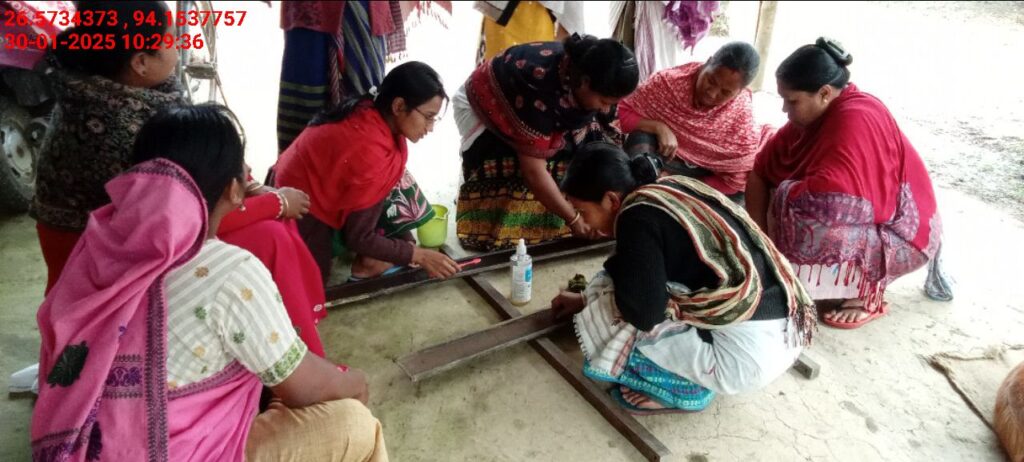 Jacquard Handloom Weaver training at IIE Incubation Centre, Chenijan, batch 26019, 30-01-2025
