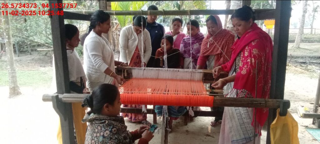 Jacquard Handloom Weaver training at IIE Incubation Centre, Chenijan, batch 26019, 11-02-2025