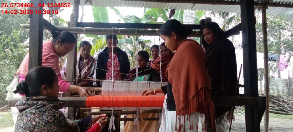 Jacquard Handloom Weaver training at IIE Incubation Centre, Chenijan, batch 26019, 14-02-2025