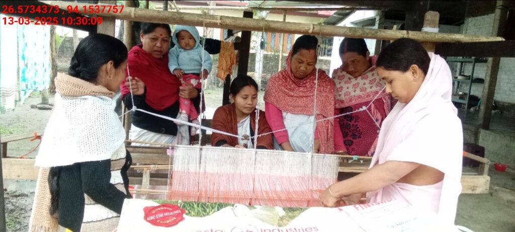 Jacquard Handloom Weaver training at IIE Incubation Centre, Chenijan, batch 26019, 13-03-2025