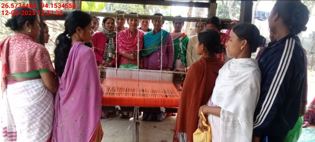 Jacquard Handloom Weaver training at IIE Incubation Centre, Chenijan, batch 26020, 12-02-2025