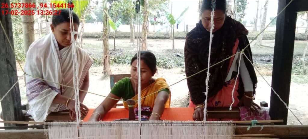 Jacquard Handloom Weaver training at IIE Incubation Centre, Chenijan, batch 26020, 17-02-2025