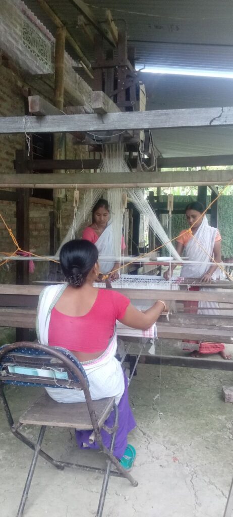 Jacquard Handloom Weaver training at IIE Incubation Centre, Chenijan, batch 33098, 04-11-2025