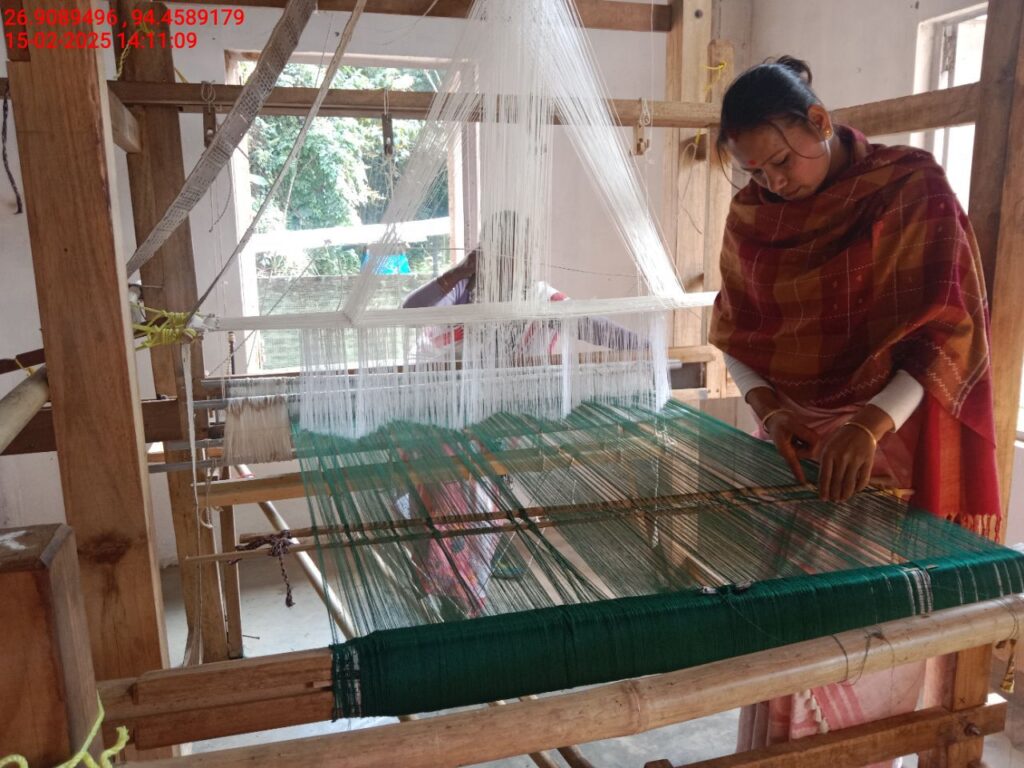 Jacquard Handloom Weaver training at IIE Incubation Centre, Hobai Pathar, batch 25834, 15-02-2025