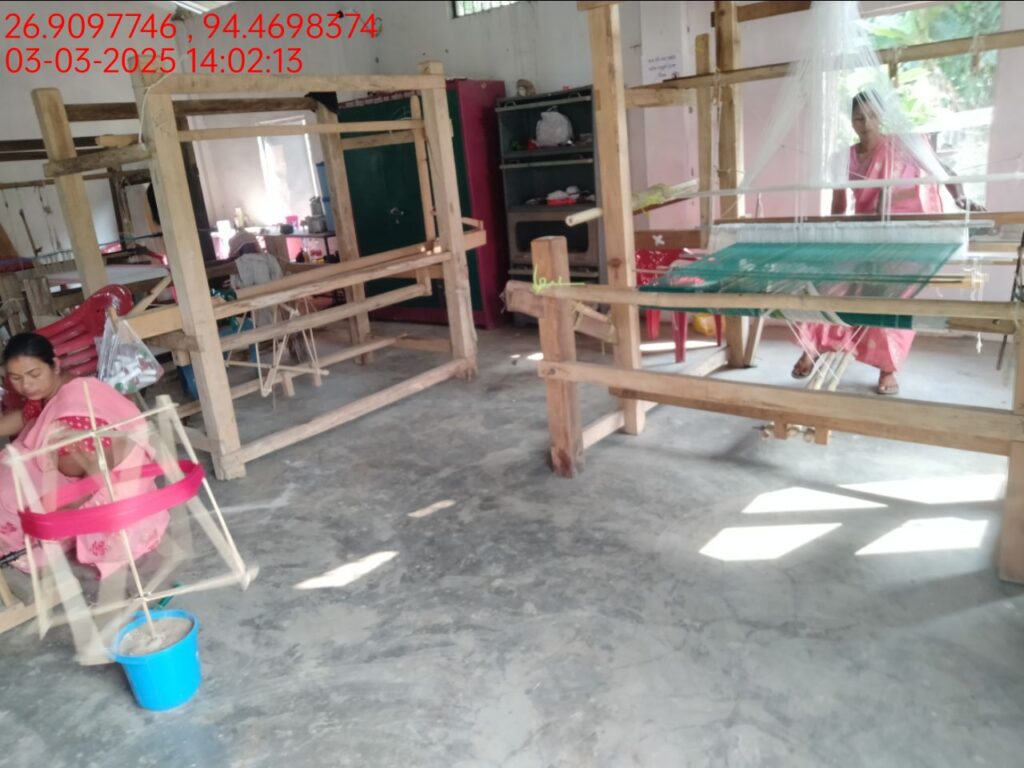 Jacquard Handloom Weaver training at IIE Incubation Centre, Hobai Pathar, batch 25834, 03-03-2025