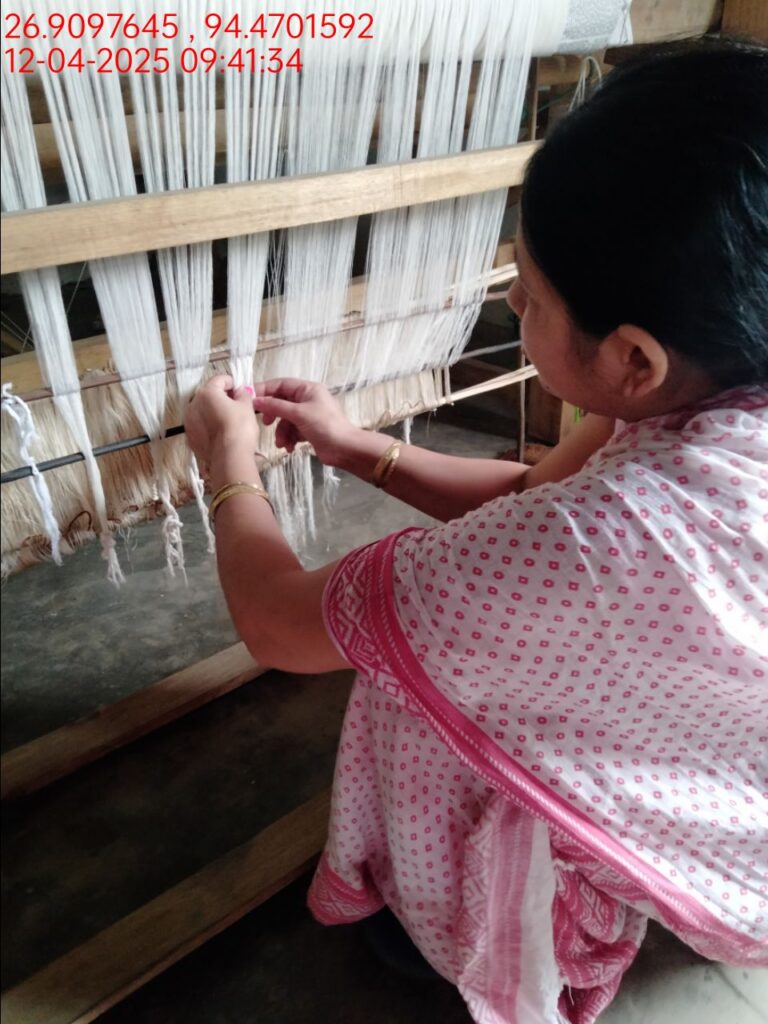 Jacquard Handloom Weaver training at IIE Incubation Centre, Hobai Pathar, batch 28460, 12-04-2025