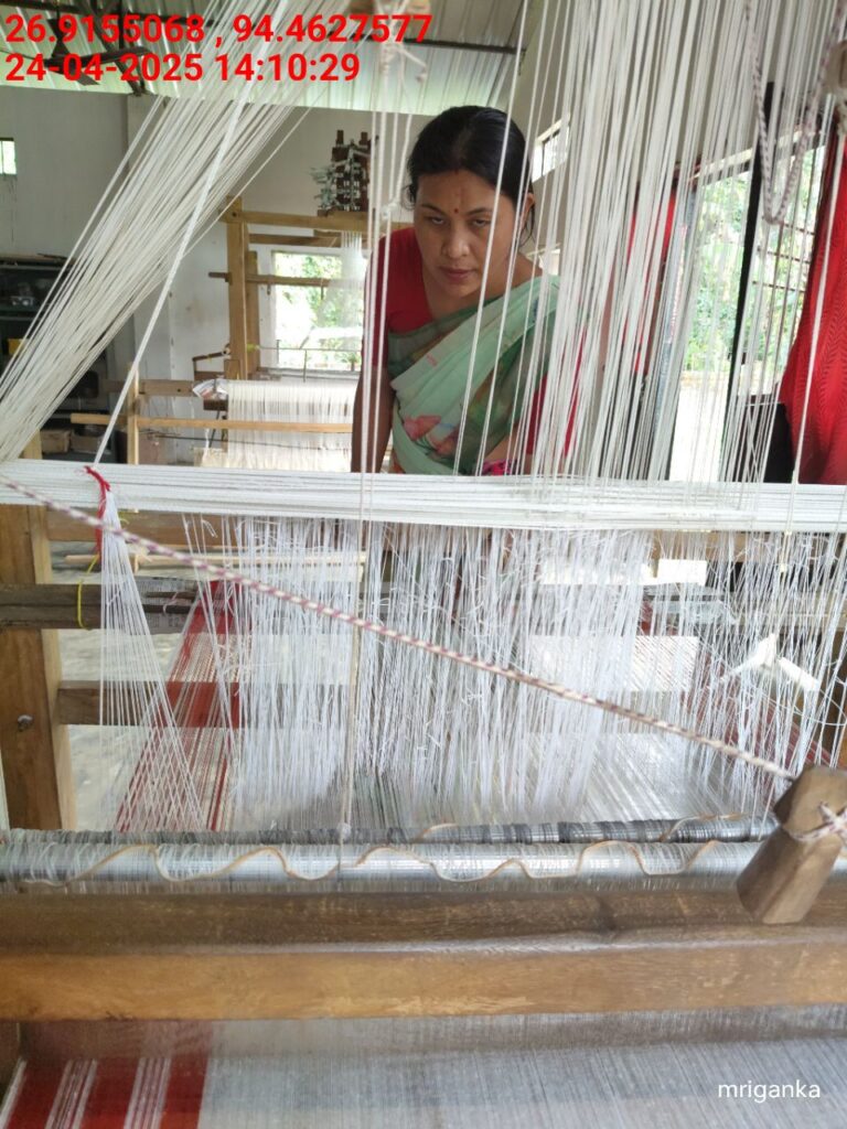 Jacquard Handloom Weaver training at IIE Incubation Centre, Hobai Pathar, batch 28844, 24-04-2025