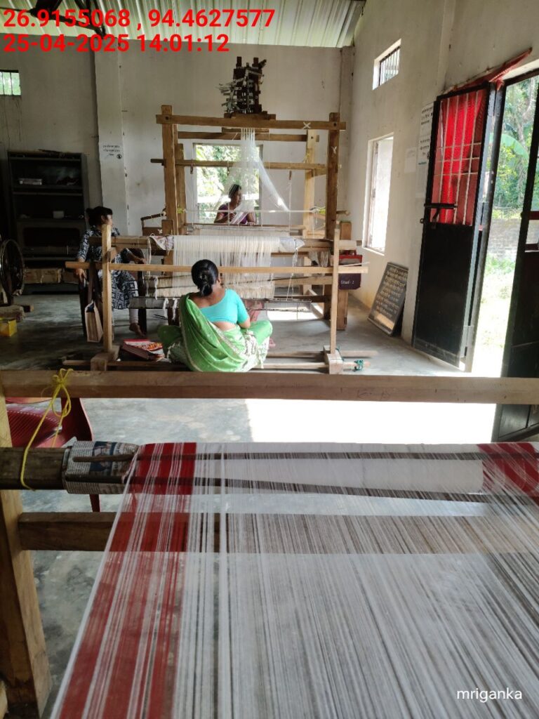 Jacquard Handloom Weaver training at IIE Incubation Centre, Hobai Pathar, batch 28844, 25-04-2025