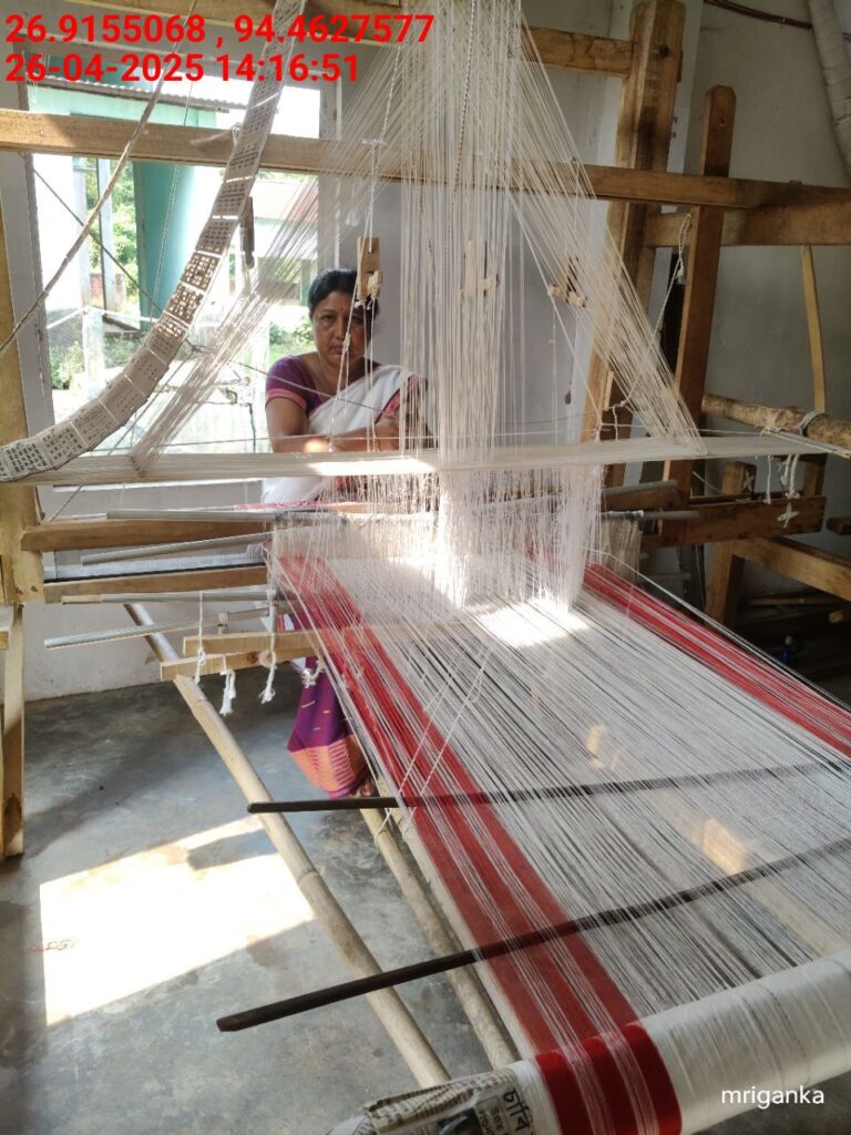 Jacquard Handloom Weaver training at IIE Incubation Centre, Hobai Pathar, batch 28844, 26-04-2025