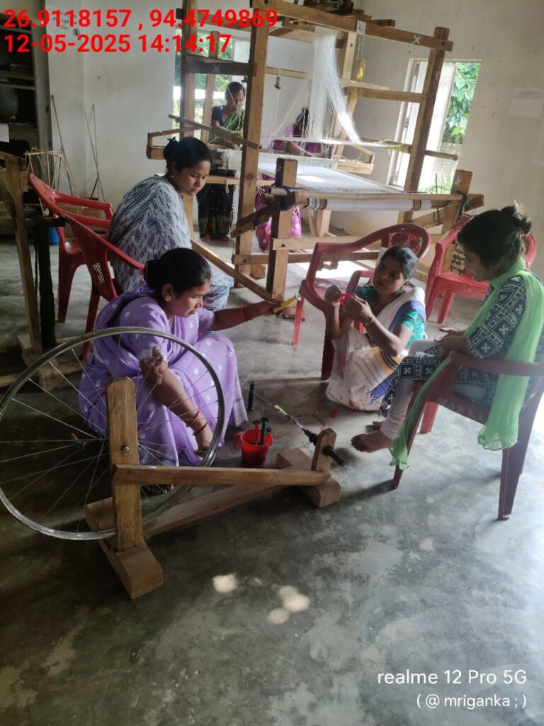 Jacquard Handloom Weaver training at IIE Incubation Centre, Hobai Pathar, batch 28844, 12-05-2025
