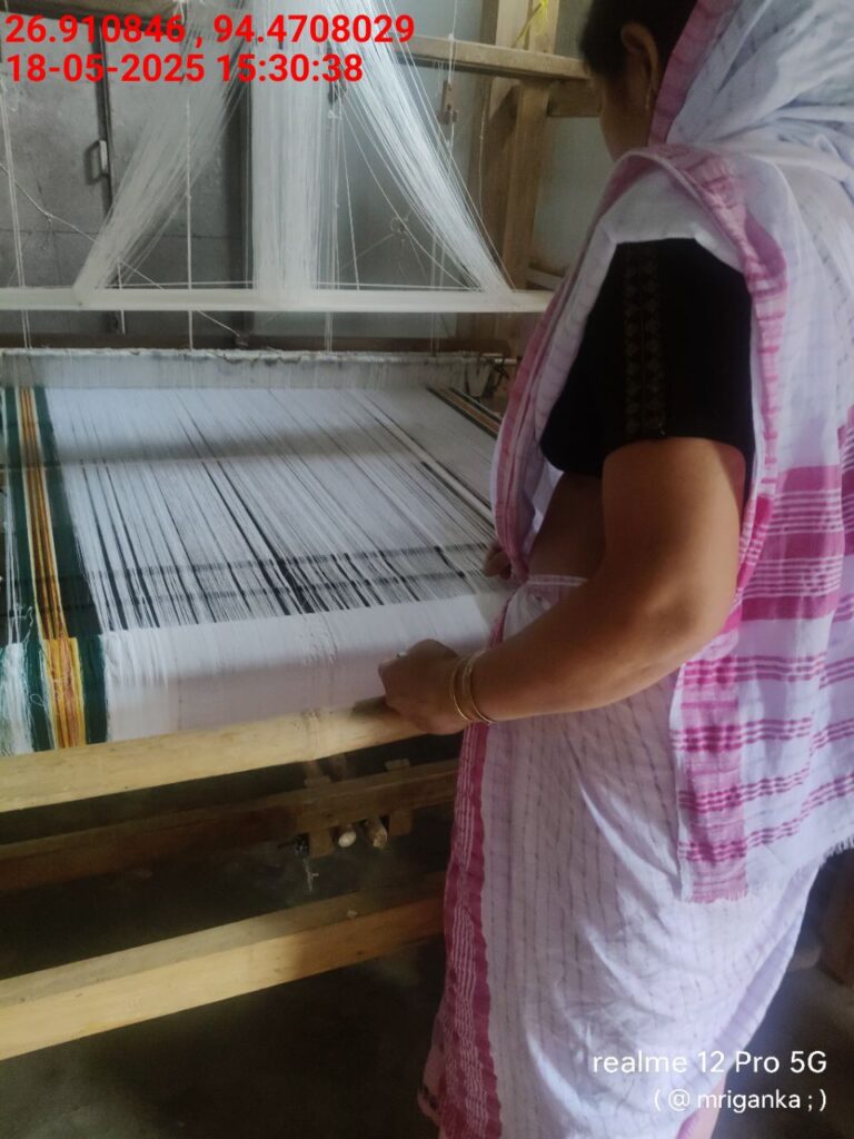 Jacquard Handloom Weaver training at IIE Incubation Centre, Hobai Pathar, batch 28844, 18-05-2025