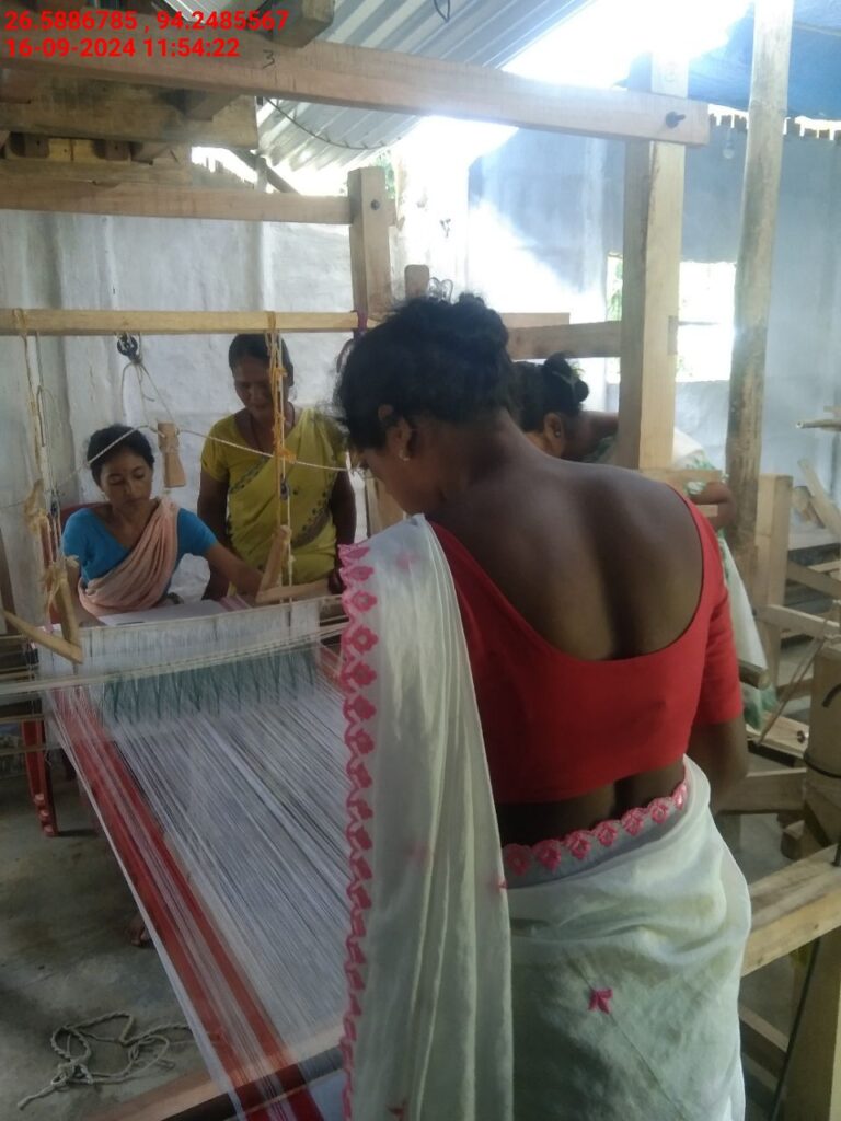 Jacquard Handloom Weaver training at IIE Incubation Centre, Jorhat, batch 22354, 16-09-2024