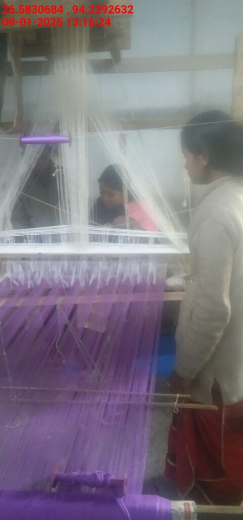 Jacquard Handloom Weaver training at IIE Incubation Centre, Jorhat, batch 25141, 09-01-2025