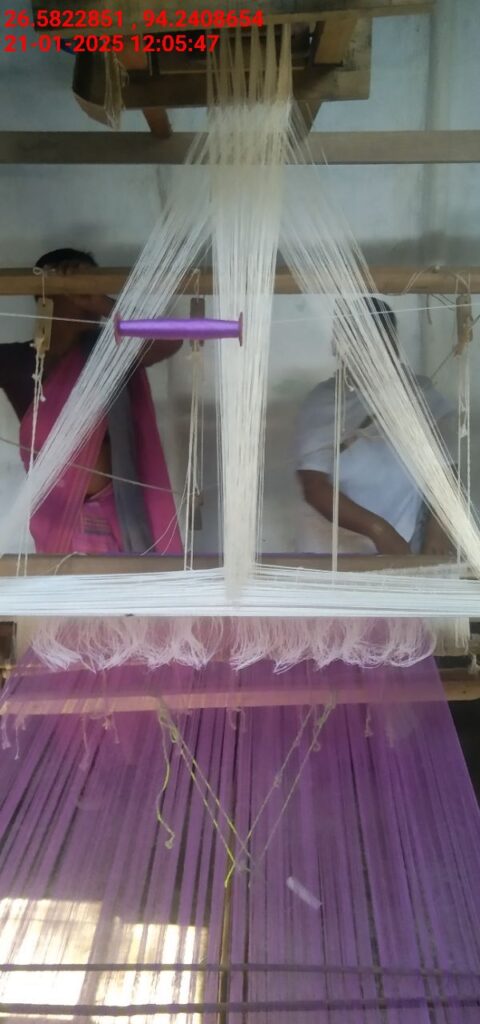 Jacquard Handloom Weaver training at IIE Incubation Centre, Jorhat, batch 25141, 21-01-2025