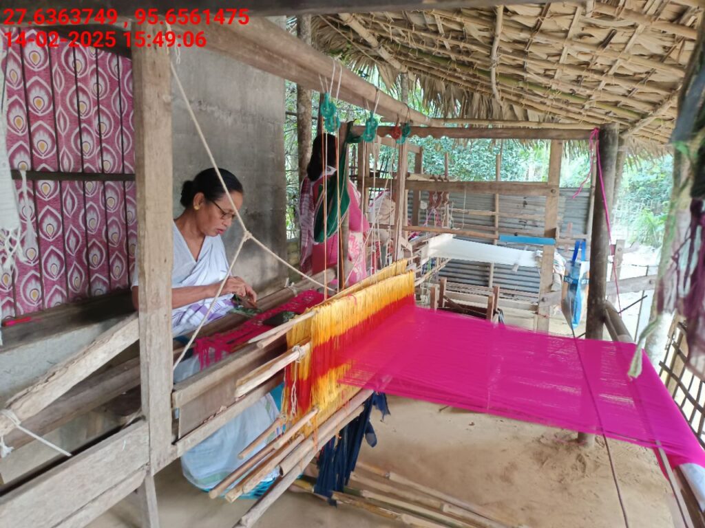 Handloom Weaver (Frame Loom) training at IIE Incubation Centre, Kakopothar, batch 25424, 14-02-2025