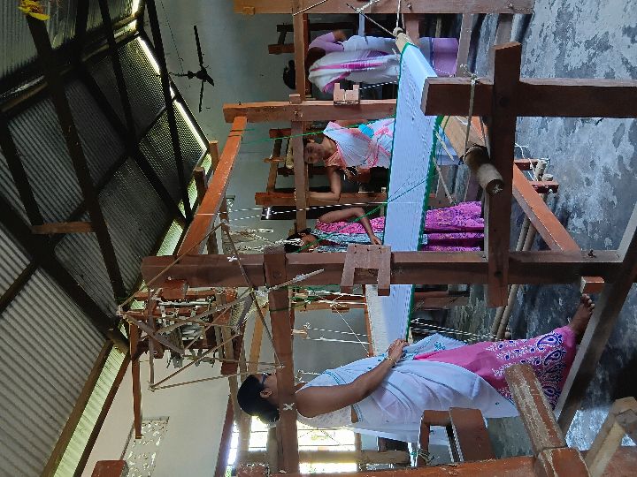 Handloom Weaver (Frame Loom) training at IIE Incubation Centre, Kakopothar, batch 29252, 11-06-2025