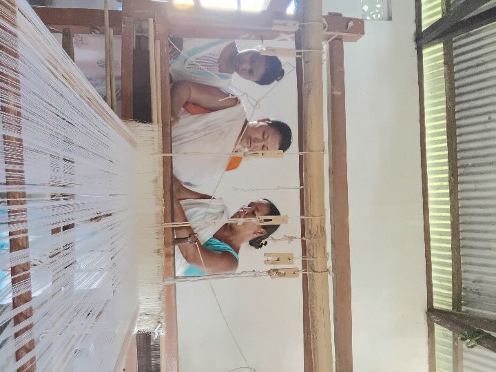 Handloom Weaver (Frame Loom) training at IIE Incubation Centre, Kakopothar, batch 29252, 12-06-2025