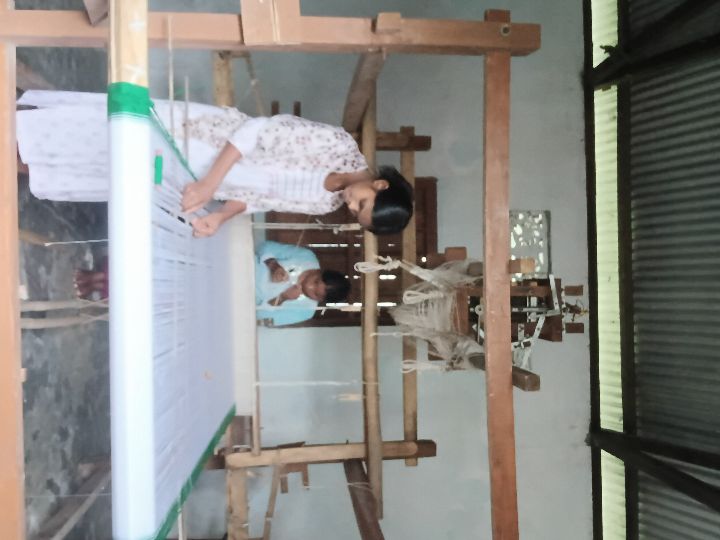 Handloom Weaver (Frame Loom) training at IIE Incubation Centre, Kakopothar, batch 29252, 17-06-2025