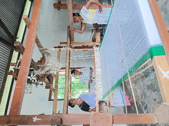 Handloom Weaver (Frame Loom) training at IIE Incubation Centre, Kakopothar, batch 29252, 19-06-2025
