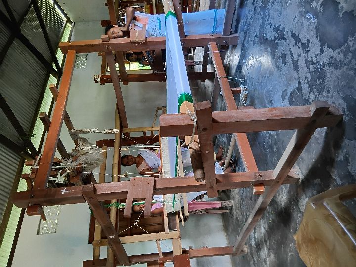 Handloom Weaver (Frame Loom) training at IIE Incubation Centre, Kakopothar, batch 29252, 25-06-2025