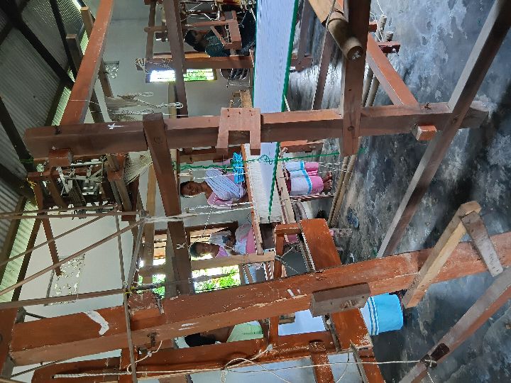 Handloom Weaver (Frame Loom) training at IIE Incubation Centre, Kakopothar, batch 29252, 26-06-2025