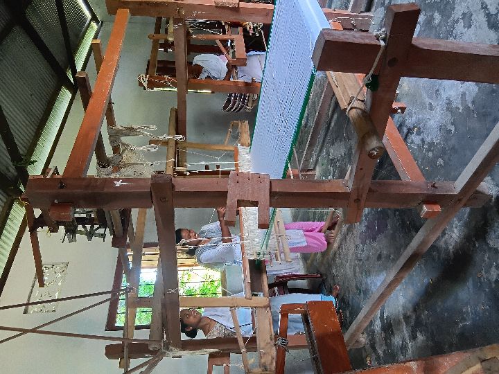 Handloom Weaver (Frame Loom) training at IIE Incubation Centre, Kakopothar, batch 29252, 30-06-2025
