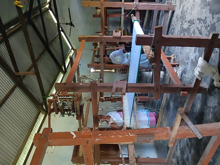 Handloom Weaver (Frame Loom) training at IIE Incubation Centre, Kakopothar, batch 29252, 07-07-2025