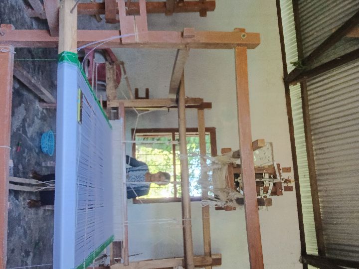 Handloom Weaver (Frame Loom) training at IIE Incubation Centre, Kakopothar, batch 29252, 09-07-2025