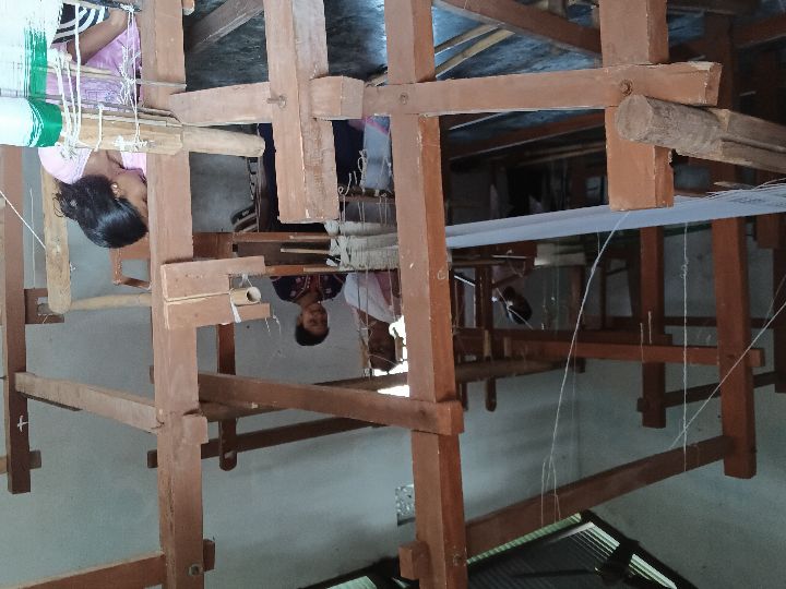 Handloom Weaver (Frame Loom) training at IIE Incubation Centre, Kakopothar, batch 29253, 21-05-2025