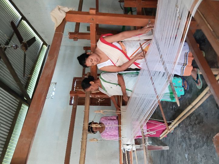 Handloom Weaver (Frame Loom) training at IIE Incubation Centre, Kakopothar, batch 29253, 24-05-2025