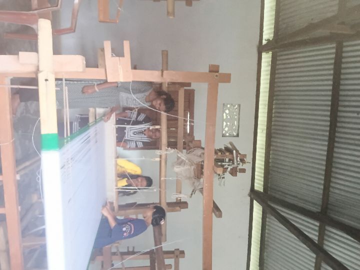 Handloom Weaver (Frame Loom) training at IIE Incubation Centre, Kakopothar, batch 29253, 30-05-2025