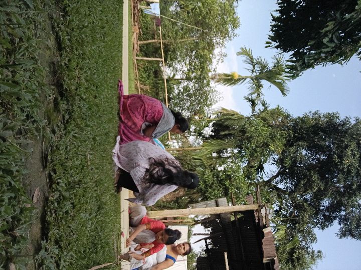 Handloom Weaver (Frame Loom) training at IIE Incubation Centre, Kakopothar, batch 29253, 05-06-2025