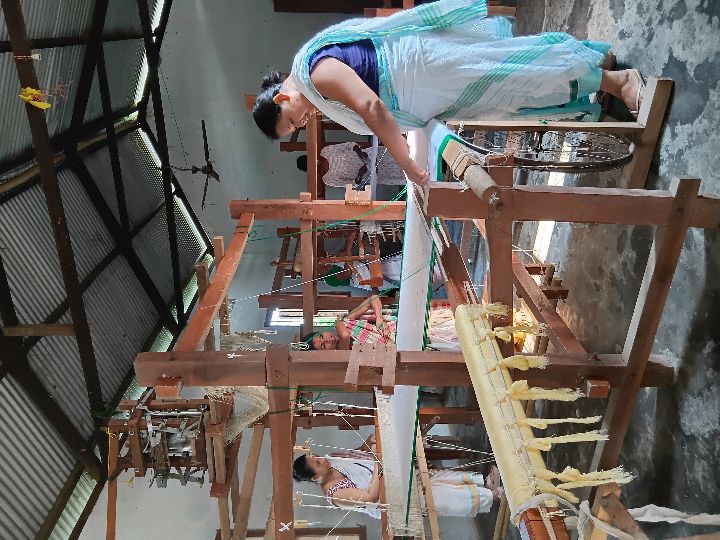Handloom Weaver (Frame Loom) training at IIE Incubation Centre, Kakopothar, batch 29253, 10-06-2025